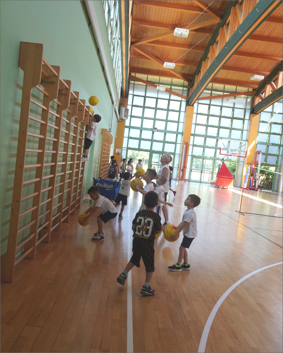 festa basket 11