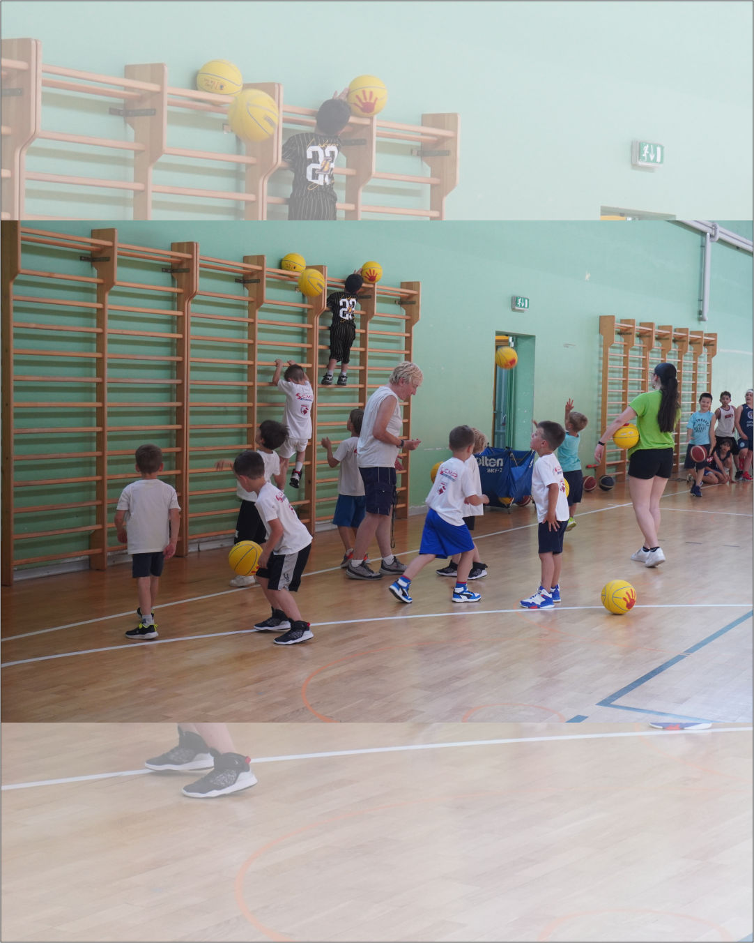 festa basket 3