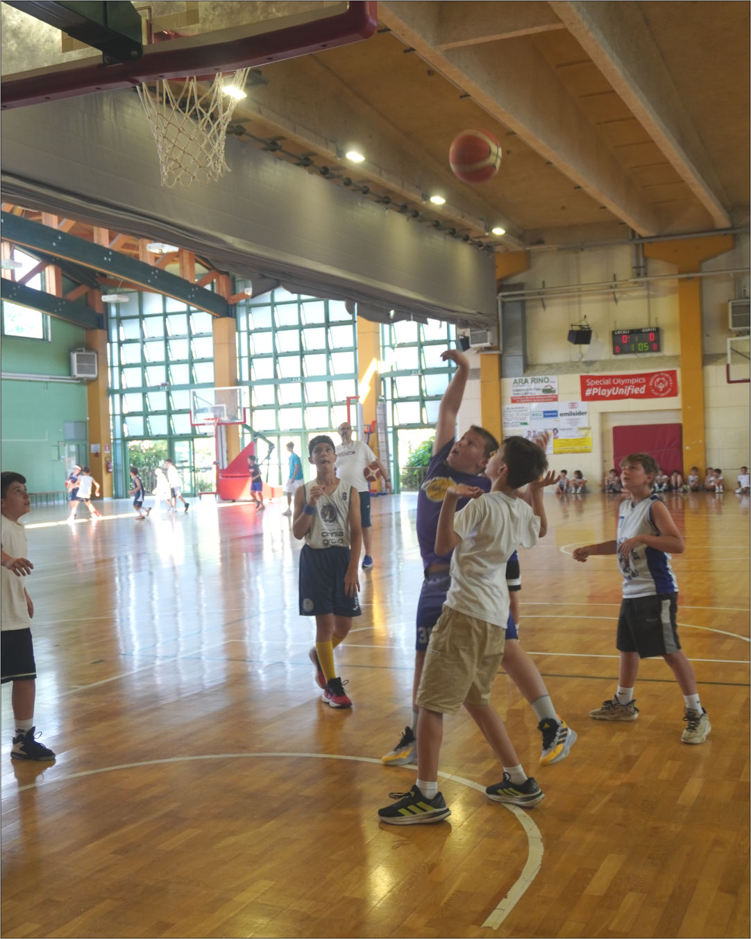 festa basket 7
